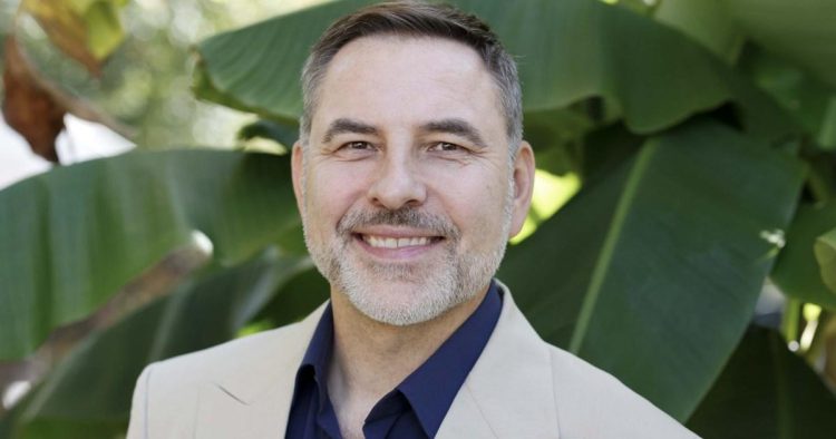 How David Walliams went from Britain’s Got Talent judge to author dropped by publisher