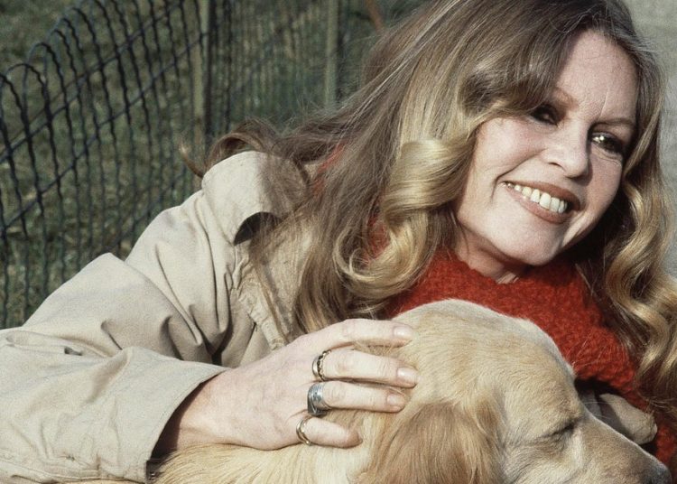 French split over Brigitte Bardot tribute due to her far right views