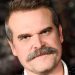 David Harbour pulls out of upcoming film to ‘rest’ after Stranger Things finale