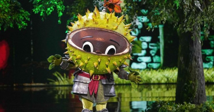 Who’s The Masked Singer star Conkers? All clues and theories so far
