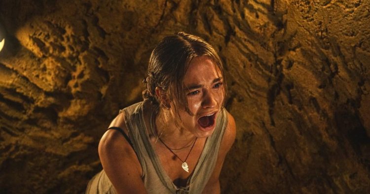 ‘Violent and gory’ movie about killer chimp declared best movie of the year already